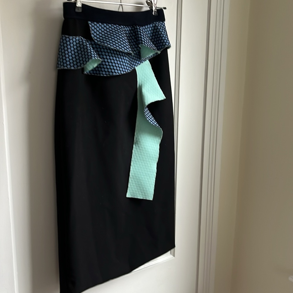 Roksanda fitted skirt